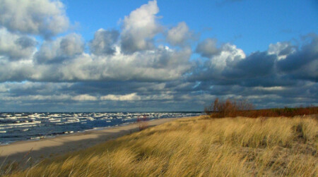 на бреге моря