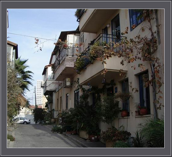 Улицы моего города