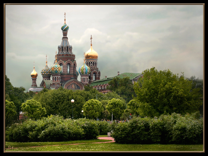 Бархат Марсова Поля