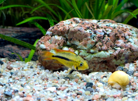 Неожиданная встреча!