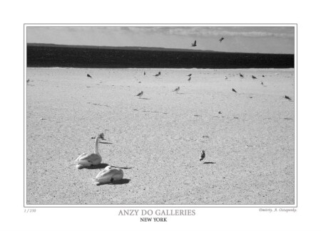 Brighton Beach - the center of the world #4