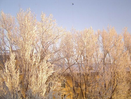 Цвет снега - 3