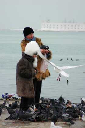 птички