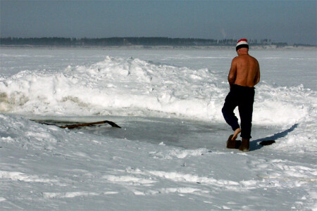 моржи (01)