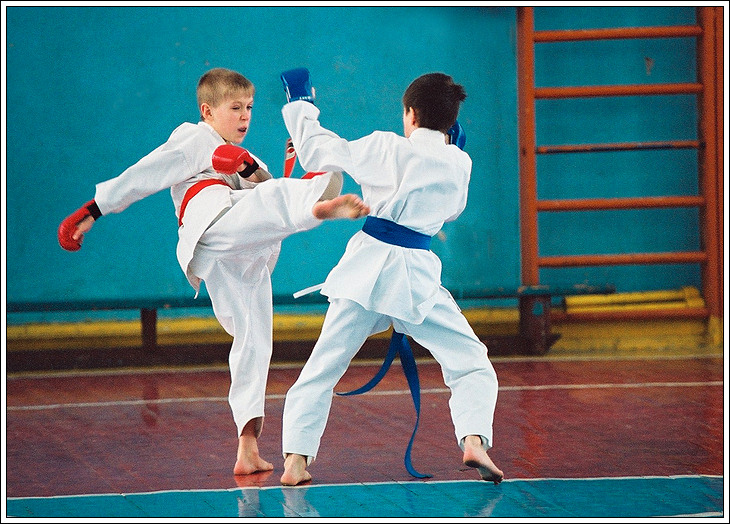Про каратэ #10