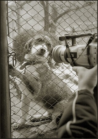 рабочий момент