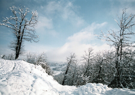 в последних числах февраля...