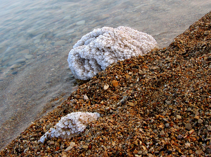 Dead Sea -2