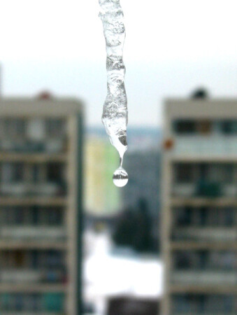 Последняя слеза зимы