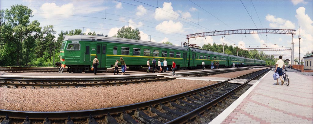 дачники
