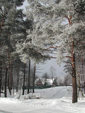 Зима серебрянная.