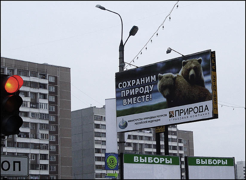 выборы