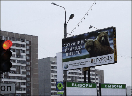 выборы
