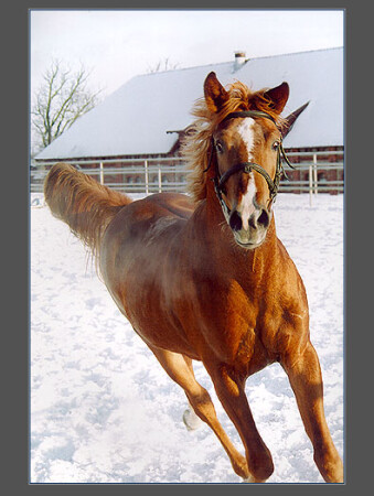 уйди, фотограф!