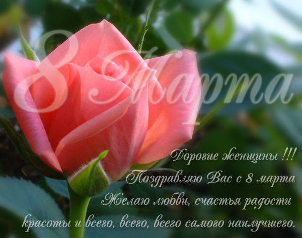 Милым женщинам ! 