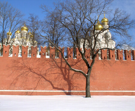 Тень на плетень