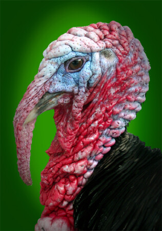 Симпатичный господин N.