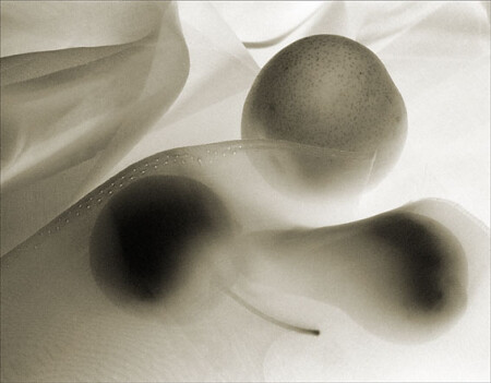 pear_2