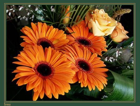 Вам - нашим любимым