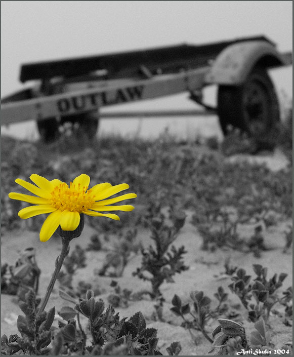 OutLaw