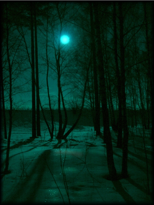полная луна