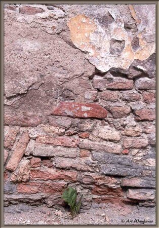 The wall (History)