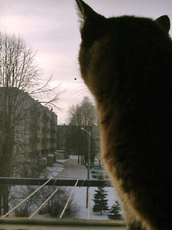 ,,Охотник Я,,
