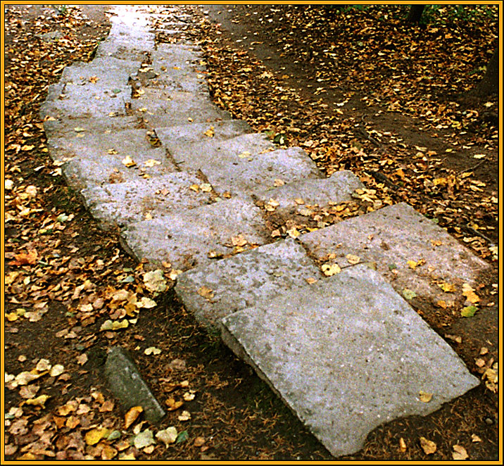 Павловск.Лестница в никуда.