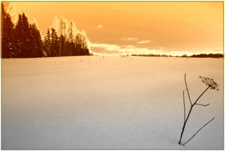 Этюд (репост)