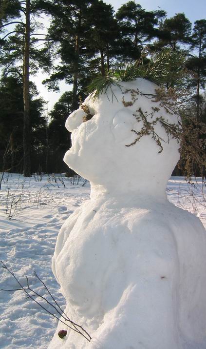 Часовой зимы