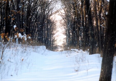 Старая дорога