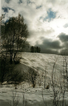 Зимнее ненастье