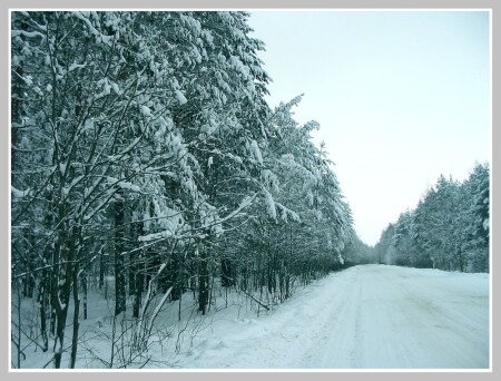 Деревенская дорога...