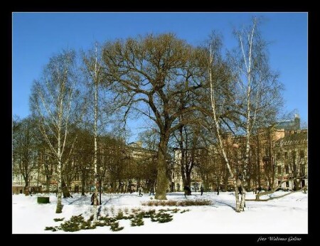 Весна в городе.