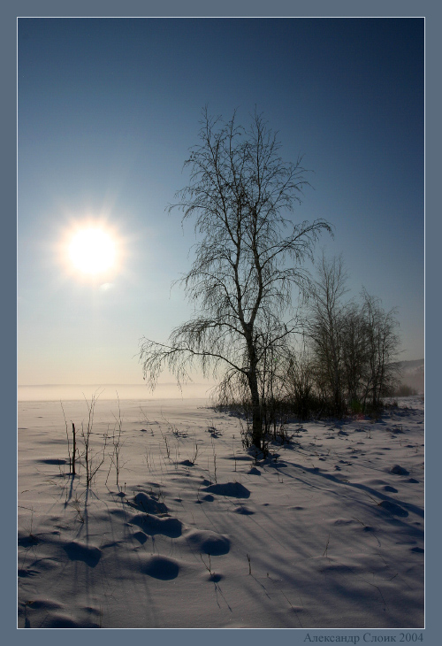 Холодное солнце севера