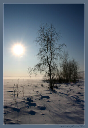 Холодное солнце севера