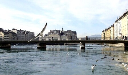 Pont des Bergues