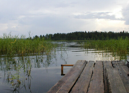 У воды ранним утром