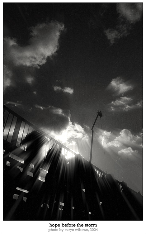 hope before the storm