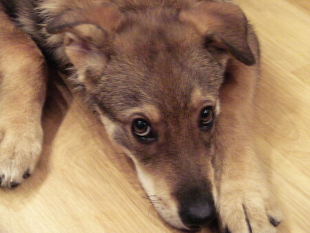 Посмотри на меня