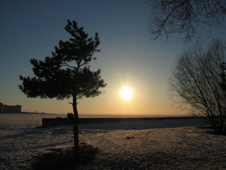 Вид Финский залив