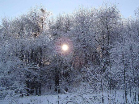 Немного солнца в зимний день