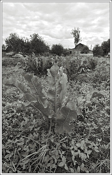 Хреновая фотография #3