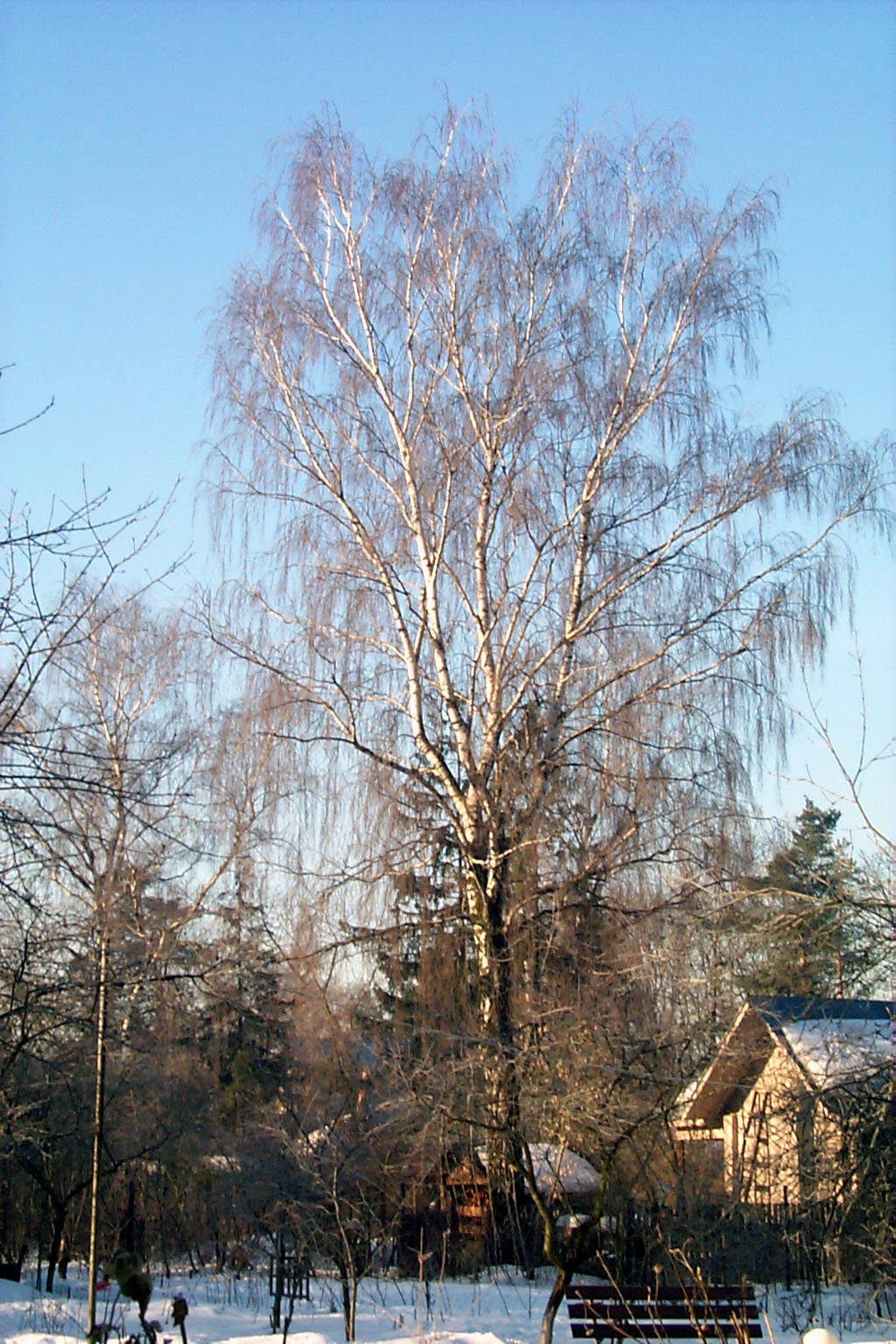 Солнечный пейзаж