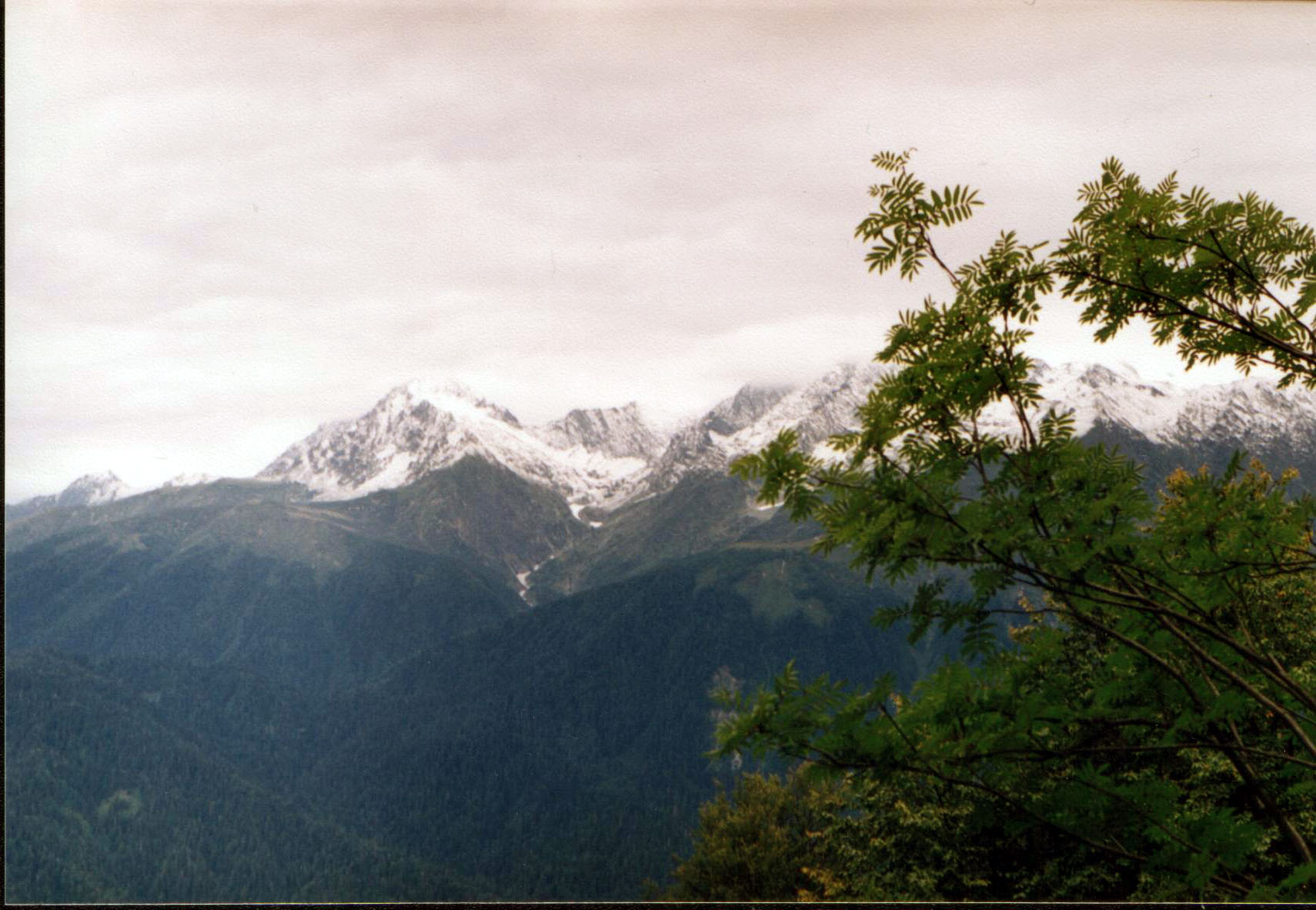 В горах