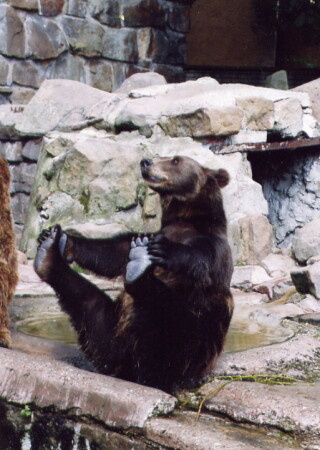 Вот как я умею!