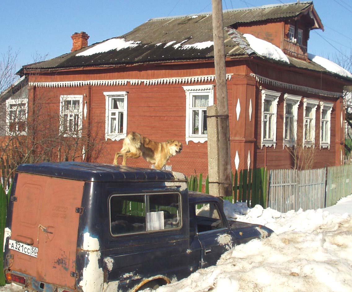 Сельский сторож