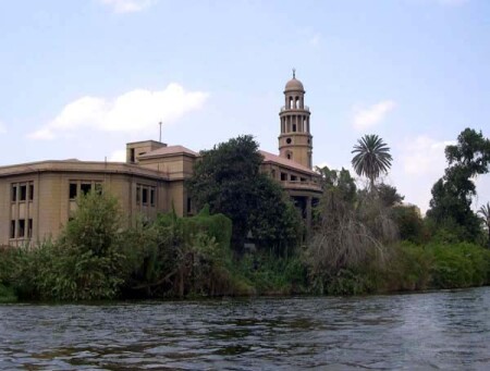 В зеленом плену