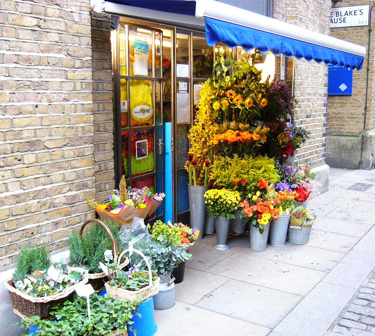 Flowers