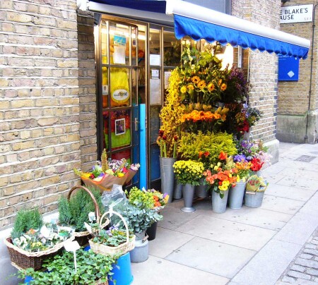 Flowers
